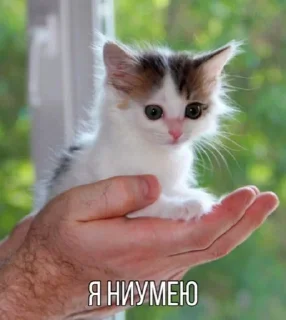 Стикер Больше @sbornik_emoji - 4