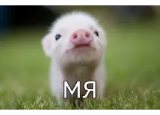 Стикер Больше @sbornik_emoji - 9