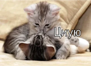 Стикер Больше @sbornik_emoji - 1