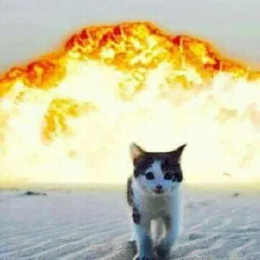 Sticker eshchkere_3628676_by_DayStikBot - 1