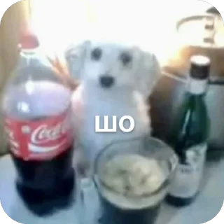 Sticker ещкерия - 1