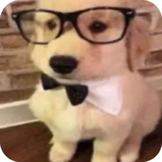 Sticker twitch.tv/HETY_MAMbl - 0