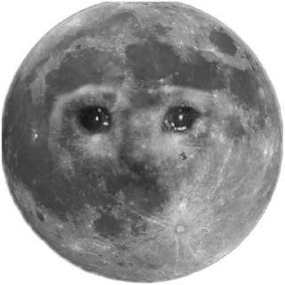 Sticker dark moon - 1