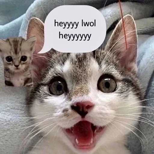 Стикер extorterschat - 1