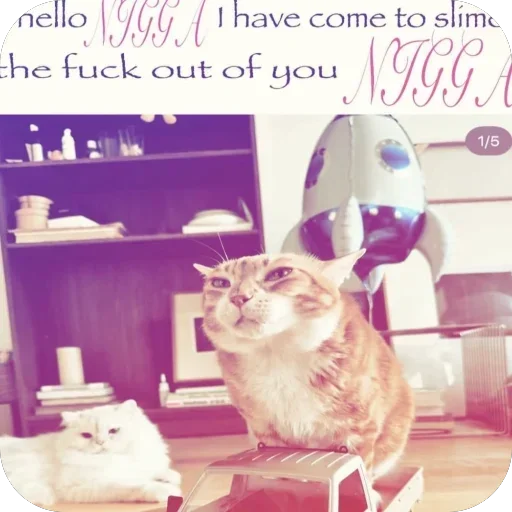 Стикер extorterschat - 1