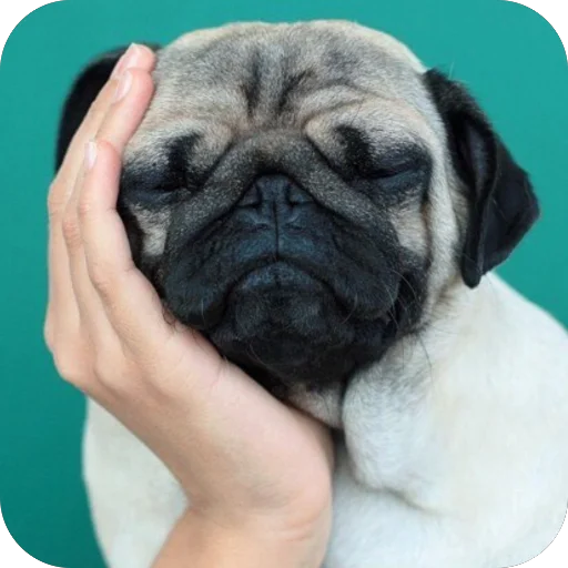 @ex_neskoro favorite - 