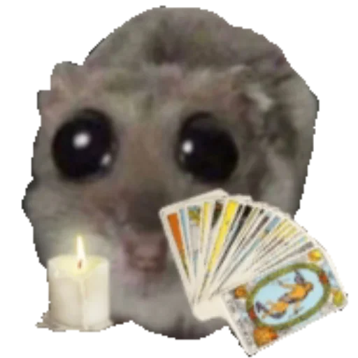 Sticker favority67 - 1