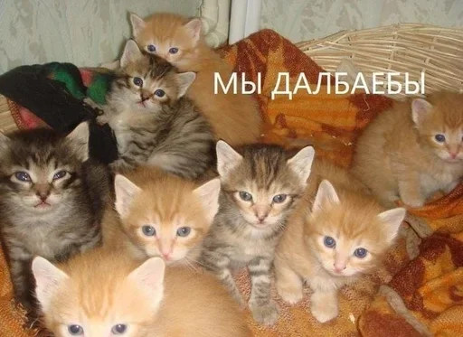 Sticker favority67 - 1