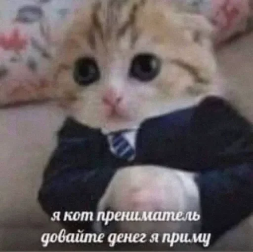 Sticker favority67 - 1