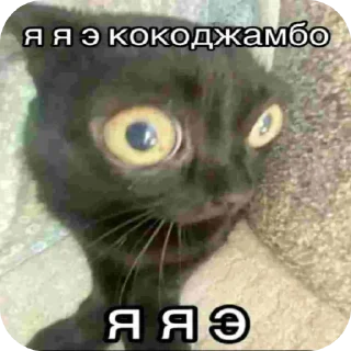 Sticker фавориты - 5