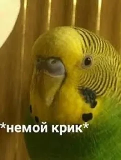 Sticker Больше стиков тут: @stikery4 - 3