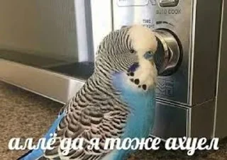 Sticker Больше стиков тут: @stikery4 - 6