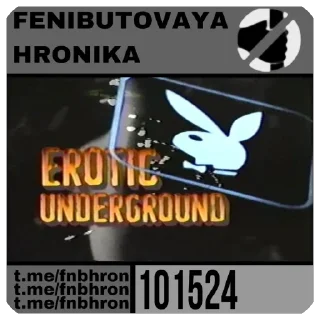 Sticker FENIBUT$ - 11