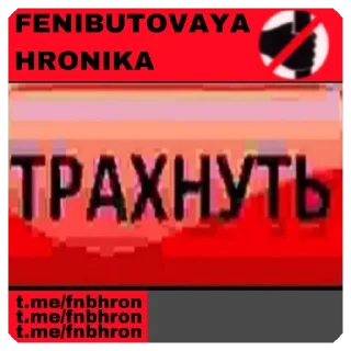 Sticker FENIBUT$ - 4