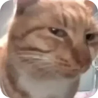 Стикер Плюшки-ватрушки🥐🫓 - 3