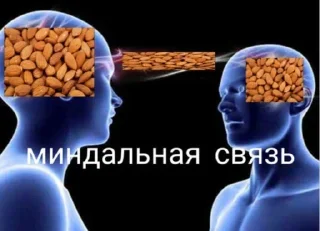 Стикер Больше стиков тут: @stikery4 - 5