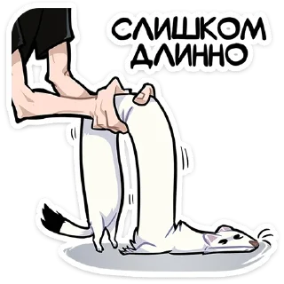 Стикер Горностай Гера • @TgSticker - 1