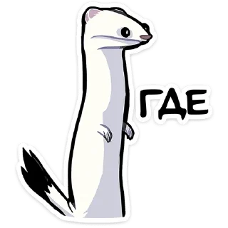 Стикер Горностай Гера • @TgSticker - 8