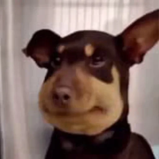 Sticker ggggtttrh_by_TgEmodziBot - 1