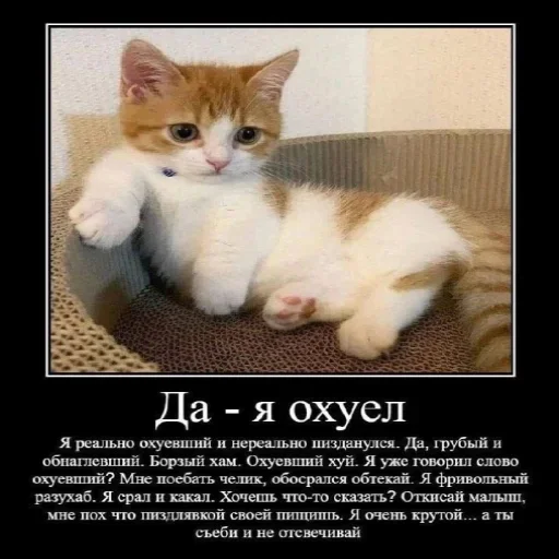 Sticker ggggtttrh_by_TgEmodziBot - 1