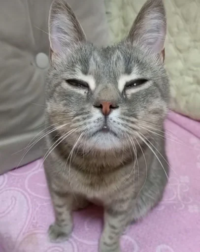 Sticker ggggtttrh_by_TgEmodziBot - 1