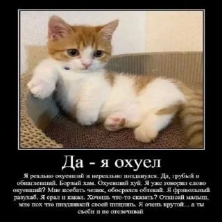 Sticker Стёпа/ @XXX666R - 6