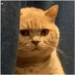 Sticker Стёпа/ @XXX666R - 11