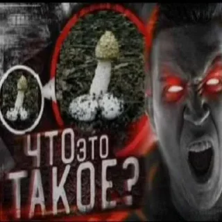 Sticker https://discord.com - 8