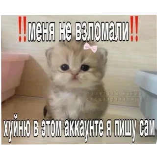 Sticker Gh @TgEmodziBot - 5