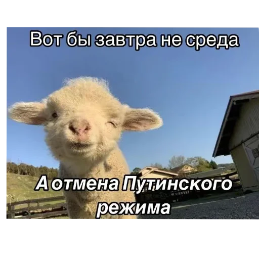 Стикер god8947 - 1