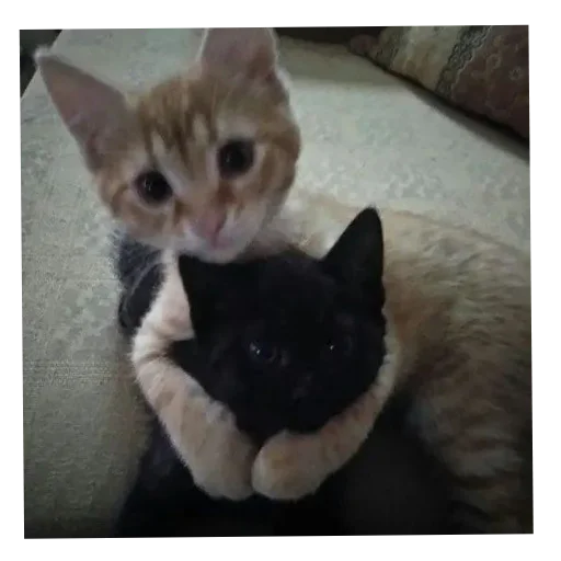 Стикер god8947 - 1