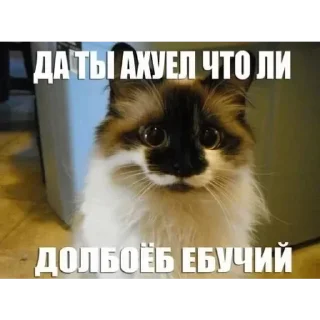 Sticker говно - 8