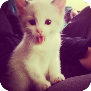 Sticker говно - 2