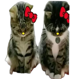 Sticker говно - 10