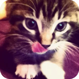 Sticker говно - 3