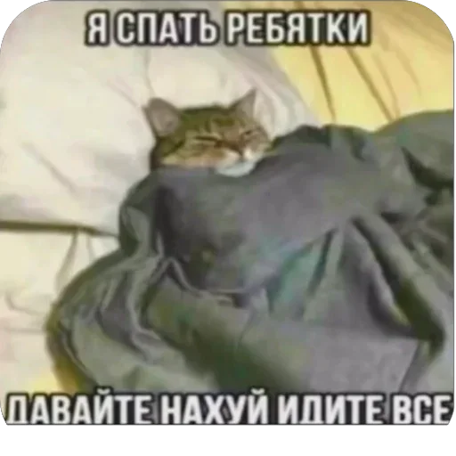 Sticker heVGGtw_by_achestickbot - 1