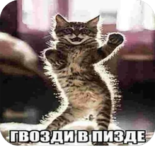 Стикер Больше стиков тут: @stikery4 - 9