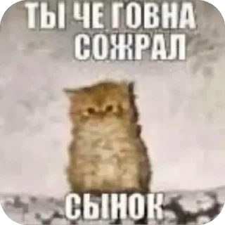 Стикер Больше стиков тут: @stikery4 - 6