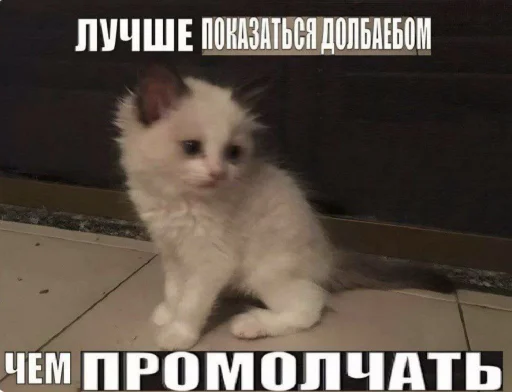 Sticker hihihahahihoz_by_TgEmodziBot - 1