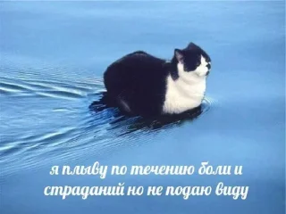 Стикер hihihahahihoz @TgEmodziBot - 10