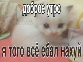Стикер hihihahahihoz @TgEmodziBot - 8