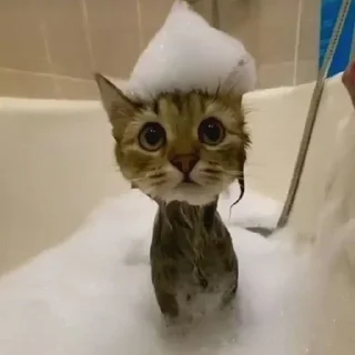 Sticker склад @cailafen - 7