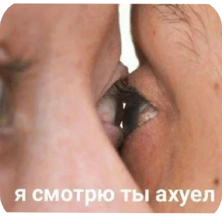 Sticker выебоны химеры - 1