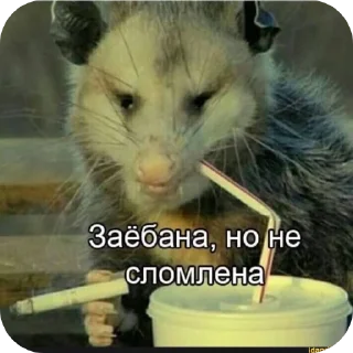 Sticker выебоны химеры - 11