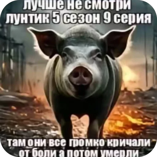 Стикер hipnodanser - 1