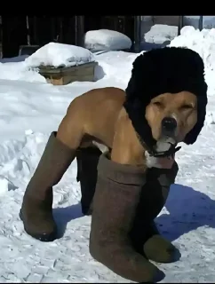 Стикер Херня @TgEmodziBot - 8