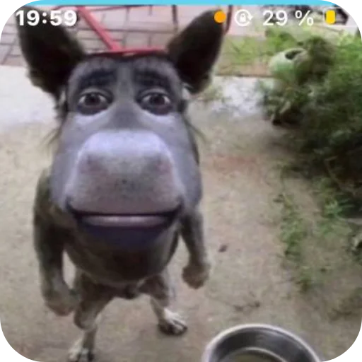 Sticker hzhz2652 - 1