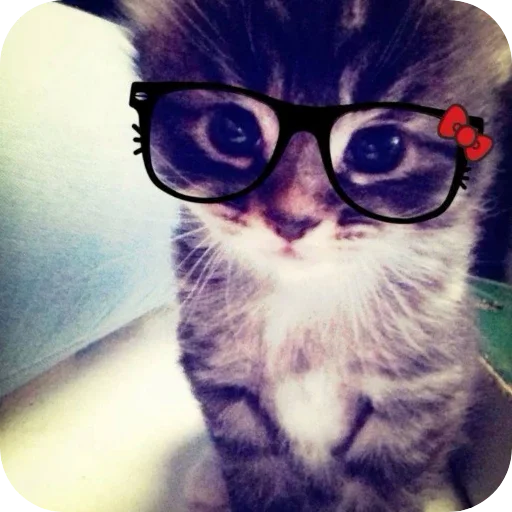 Sticker hzhz2652 - 1