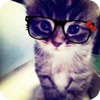 Sticker 💗♈️ - 3