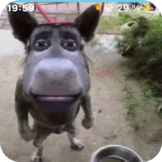 Sticker 💗♈️ - 6